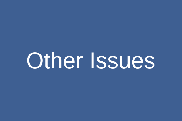 Other Issues
